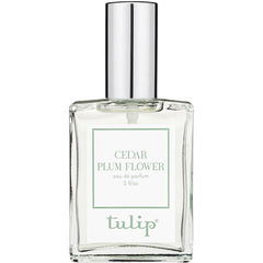 Cedar Plum Flower von Tulip