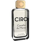 Camélia du Maroc (2025) by Ciro