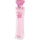 Exotica by Rémy Latour