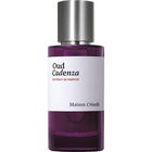 Oud Cadenza by Maison Crivelli