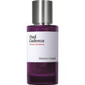 Oud Cadenza von Maison Crivelli