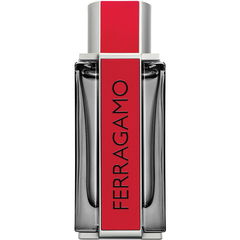 Ferragamo Red Leather by Salvatore Ferragamo