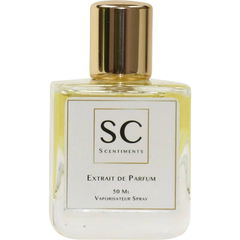 Shy Neroli Extreme von Scentiments