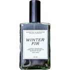 Winter Fir (2024) by Barnaby Black