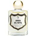 Ambra del Nepal (Fragranza Concentrata) von Spezierie Palazzo Vecchio