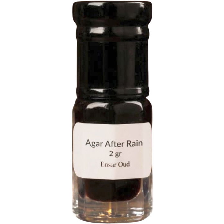 Agar After Rain von Ensar Oud