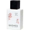 Aromatic Spices + Jasmine by Brûmée