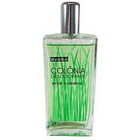 Erva Cidreira by Ducha