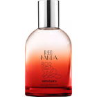 Red Panda by Sanctuary