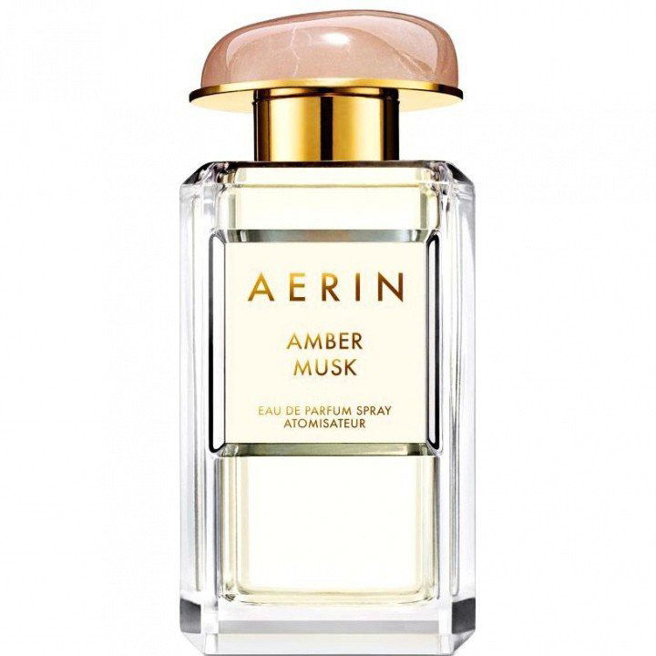 Amber Musk von Aerin