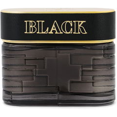 Black von Maison Asrar