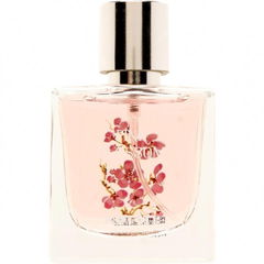 Pink Blossom von Koton