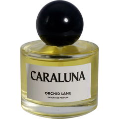 Caraluna von Orchid Lane