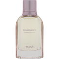 Renaissance by Tumi