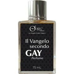 Il Vangelo Secondo Gay von O'Driù