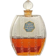 Fleur de Jasmin by Bonwit Teller & Co.