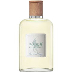 Polo Earth - Provencial Sage von Ralph Lauren