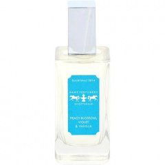 Peach Blossom, Violet & Vanilla by Dame Perfumery Scottsdale Peach Blossom, Violet & Vanilla by Dame Perfumery Scottsdale