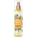 Beloved - Patchouli & Orange Flower von Love Beauty and Planet