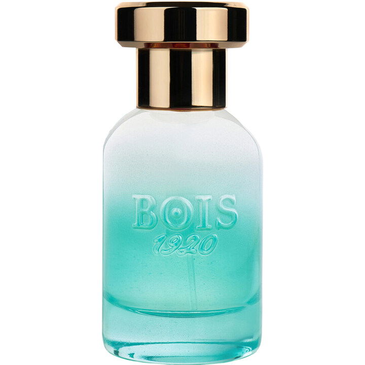 Marasma von Bois 1920