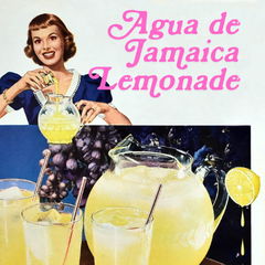 Agua de Jamaica Lemonade von Pulp Fragrance