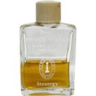 Strategy (Toilet Water) by Mary Chess