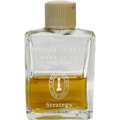 Strategy (Toilet Water) von Mary Chess