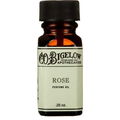 West Village Rose / Rose von C.O. Bigelow