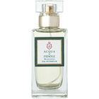 Michelangelo von Acqua di Fiesole