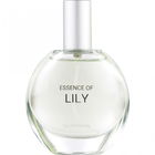 Essence of Lily von C&A