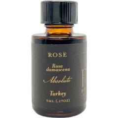 Single Essence of Rose by For Strange Women