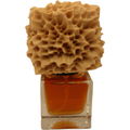 Natural History by Phronema Perfumes