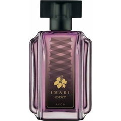 Imari Corset by Avon