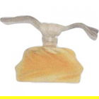 Venus by Fortune Duck