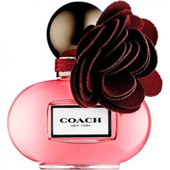 Poppy Wildflower by Coach