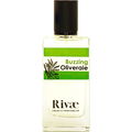 Buzzing Oliveraie by Rivæ