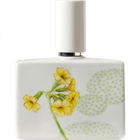 Bosque Edition Limitée von Humięcki & Graef