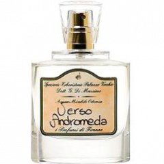 Aurora by The Solid Cologne Project Aurora by The Solid Cologne Project