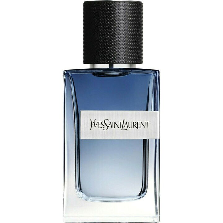 Y Live von Yves Saint Laurent
