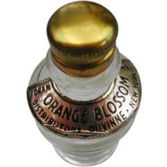 Orange Blossom von Duvinne