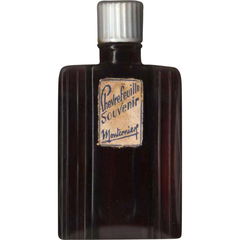 Chevrefeuille Souvenir von Monternier