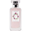 Champagne Peony / Pivoine Champagne von Mistral