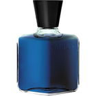 Blu Water (Eau de Parfum) von Roberto Capucci