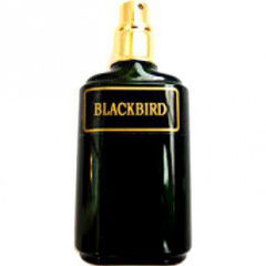 Blackbird von Meshaz