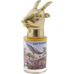 Laos Gardenia by GRG