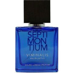 Septimontium - Viminalis by Mauro Lorenzi