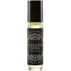Gardenia Nera von Officina de' Tornabuoni