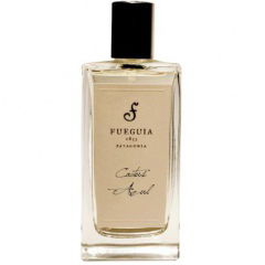 Cactus Azul (Perfume) von Fueguia 1833