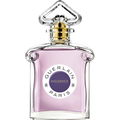 Insolence (Eau de Parfum) by Guerlain