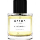 Bergamot von Herba